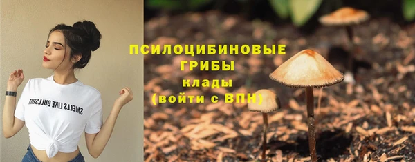 амф Беломорск