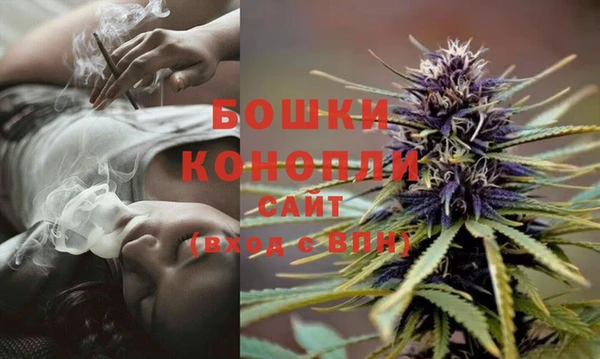 амф Беломорск