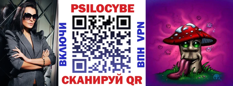 Галлюциногенные грибы Psilocybine cubensis  Кремёнки 
